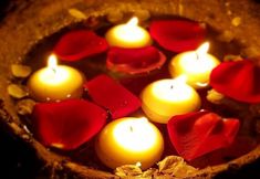 その他 2 Salkim Konak Agac Evler