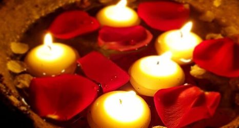 その他 2 Salkim Konak Agac Evler