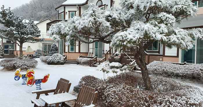 Khác Forest of Color Pension