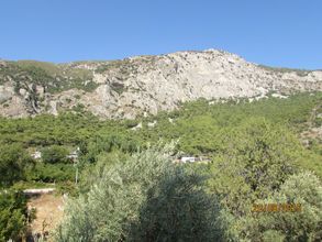 其他 4 Marti Pansiyon