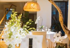 Others 4 White waltz