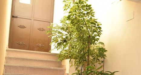 Others 2 Hospedium Hotel La Fuente