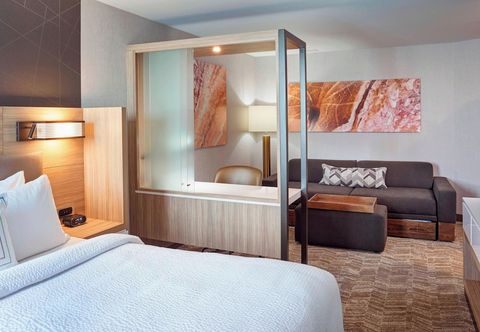 Others Springhill Suites Grand Rapids West