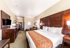 其他 2 Comfort Suites Grand Prairie - Arlington North