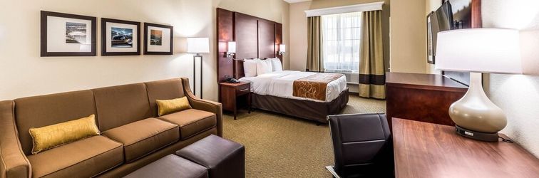 其他 Comfort Suites Grand Prairie - Arlington North