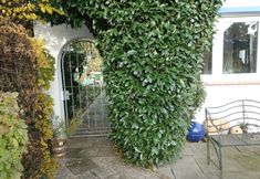 Others 3 Tolstov-Hotels Large 3 Room Apartment with Garden