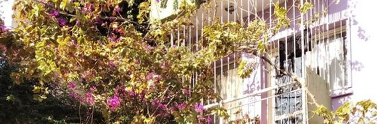 其他 Shantihome Hostel