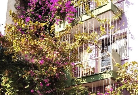 其他 Shantihome Hostel