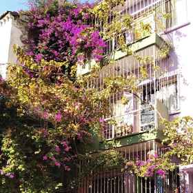 Primary image1香緹之家青年旅舍,Izmir Şehirlerarası Bus Terminal飯店