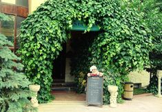 기타 7 Yalcin Hotel Resort