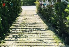 Others 5 Sahra Butik Hotel