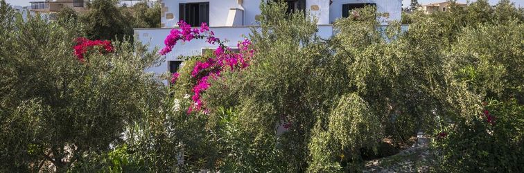 อื่นๆ Orionas Village