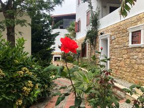 Others 4 Arion Resort Hotel