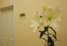 Others 2 Kosmopolita Apartments