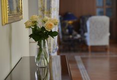 其他 4 Hotel Der Lindenhof