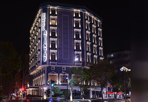 기타 Ayintap Hotel