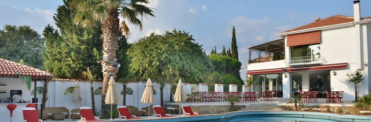 其他 Pidasus Hotel