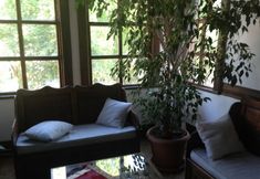 其他 4 Sinan Bey Konagi - Special Class