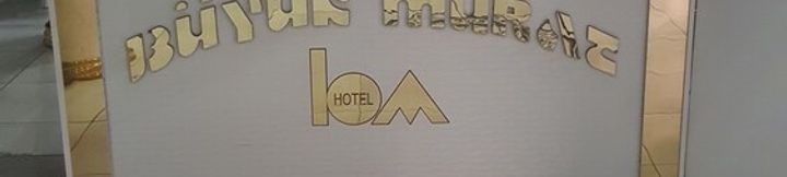 其他 2 Buyuk Murat Hotel