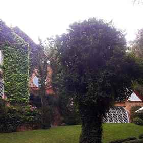 Primary image 1 Casa Yvitú Blue Bird Hotel, โรงแรม & ที่พัก Cadij Shopping Center