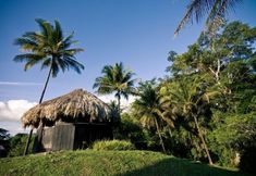 Others 2 Lower Dover Jungle Lodge & Maya Ruins - Hostel