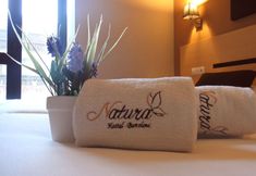 その他 3 Hostal Live Natura Barcelona