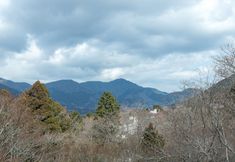 Others 3 Chojuyu Hakone