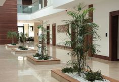 其他 2 Carissa Hotel