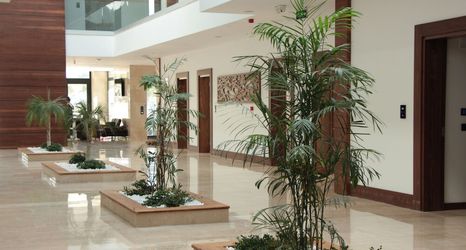 其他 2 Carissa Hotel