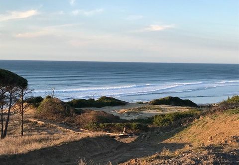 其他 Schooner Landing