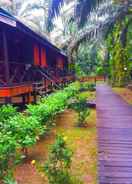 Primary image Sukau Backpackers B&B