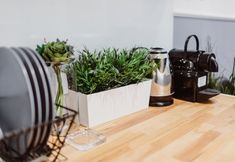 Others 4 Leo Apartments Main Square