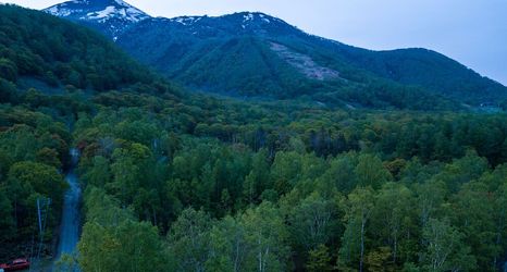 อื่นๆ 2 Forest Hideaway