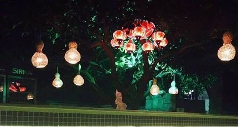 Others 2 Pepecura Bodrum