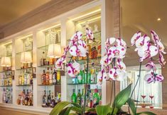 Others 2 Windsor California Copacabana