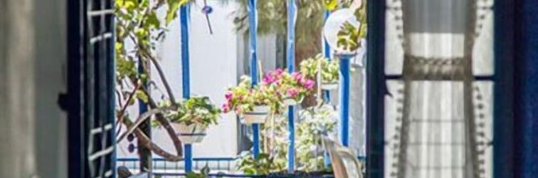 기타 Mavi Zeytin Butik Hotel