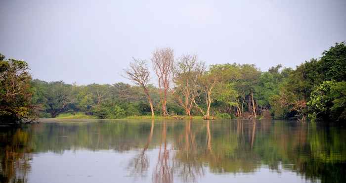 Others The Backwaters