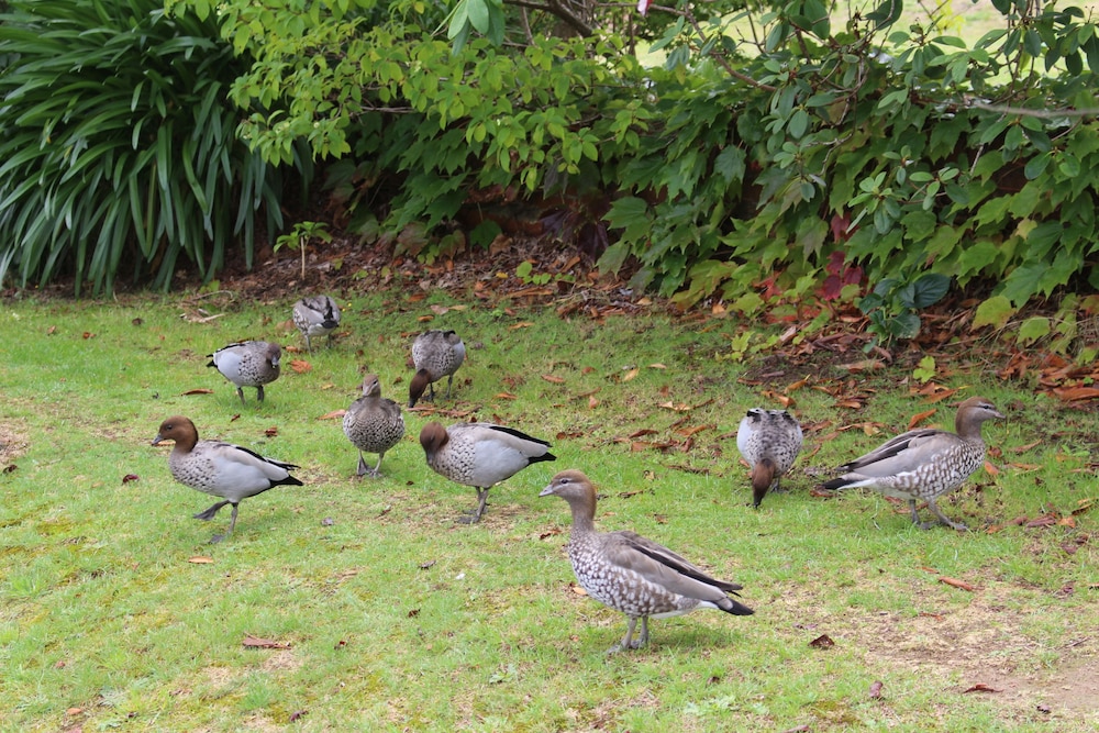 Others Leura Fairways West