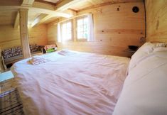 Others 5 Satiroglu Konagi