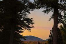 其他 The Town House Lodge