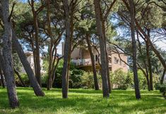 Others 2 Best Location Apartments