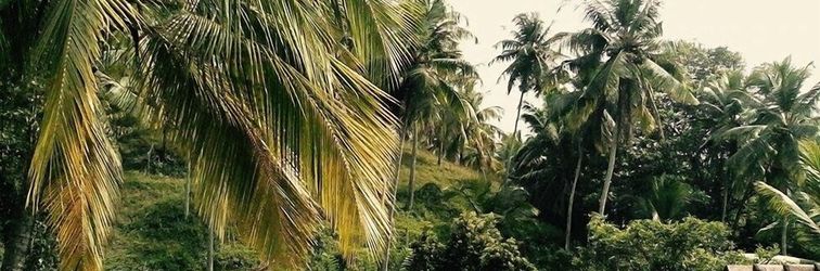 其他 Hilltop Bungalow