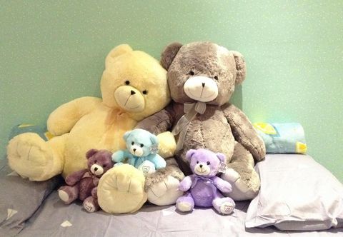 Lain-lain Homestay in Johor - Bear House