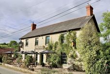 其他 The Greyhound Inn Taunton