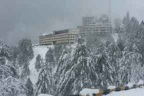 Le Grand Murree