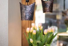 その他 3 Biała Owca