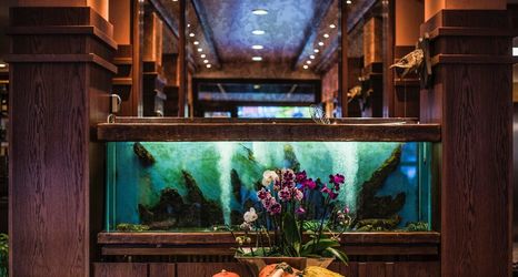 其他 2 Hotel Brimer