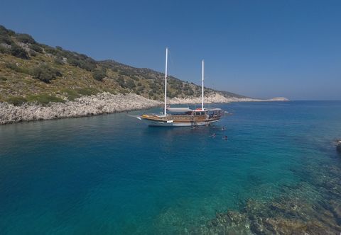 その他 Dilara Boat