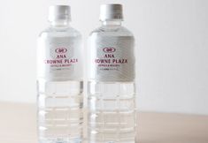Others 5 ANA Crowne Plaza Akita by IHG