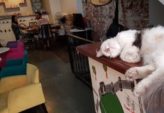 其他 3 Bella Vista Hostel